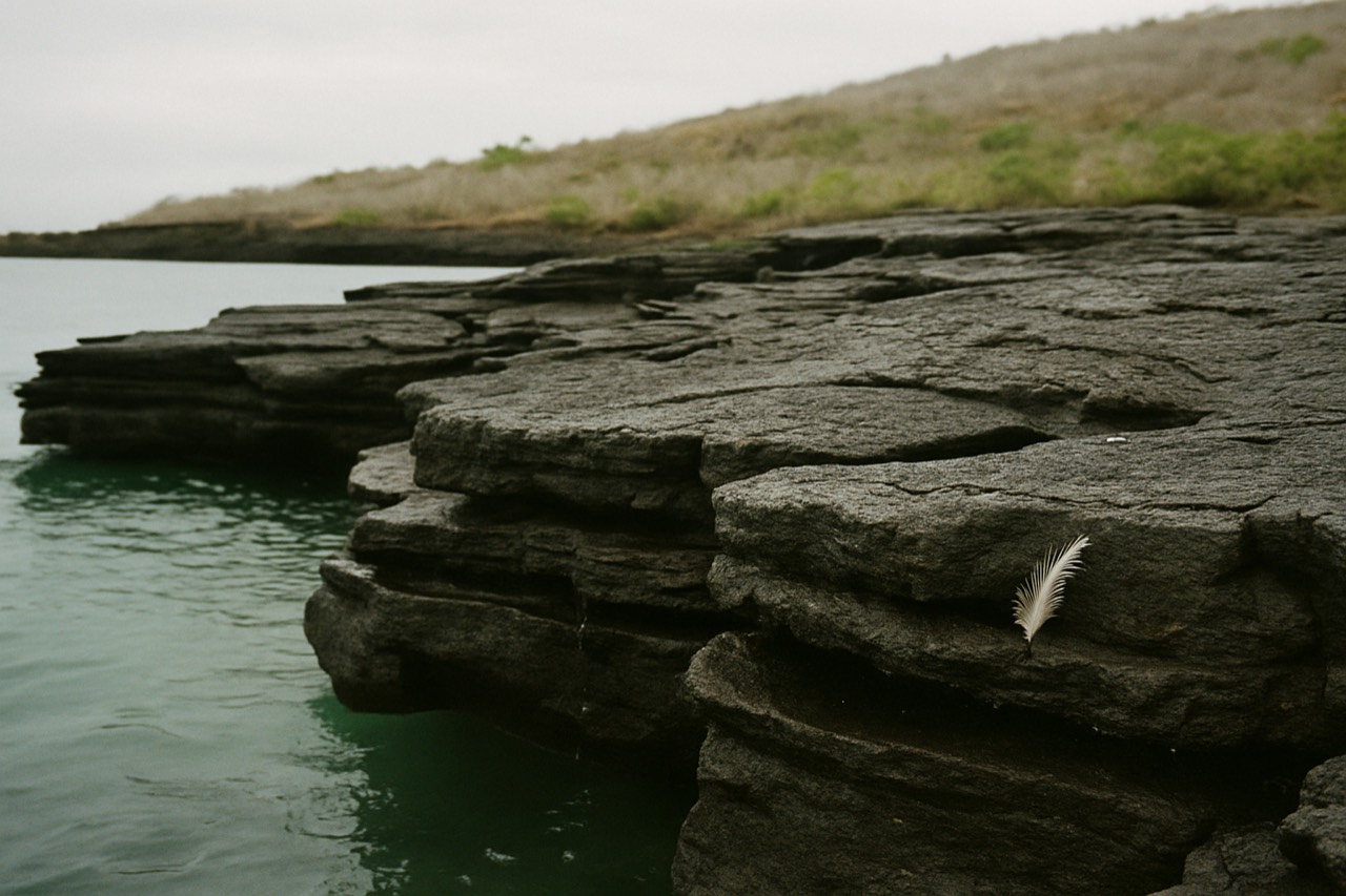 A volcanic Galapagos shoreline with dark rock formations and calm turquoise water under a cloudy sky