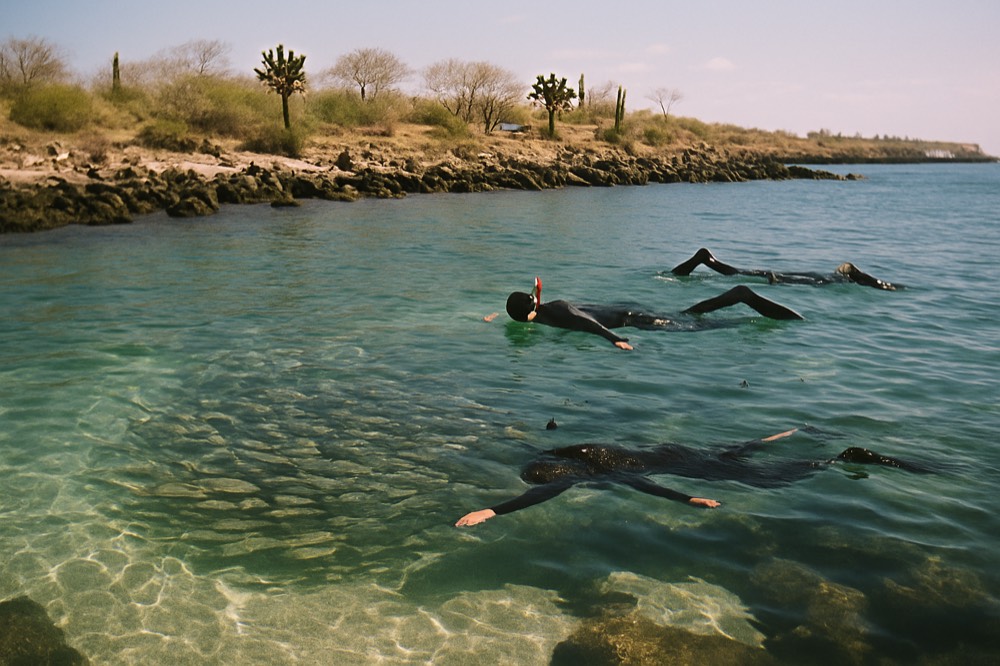 Snorkelers floating above a school of fish in clear shallow water near a rocky reef