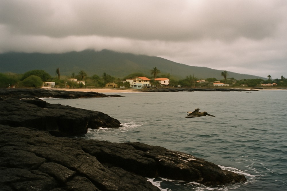Volcanic coastline of Isabela Island meeting calm blue ocean under a cloudy sky