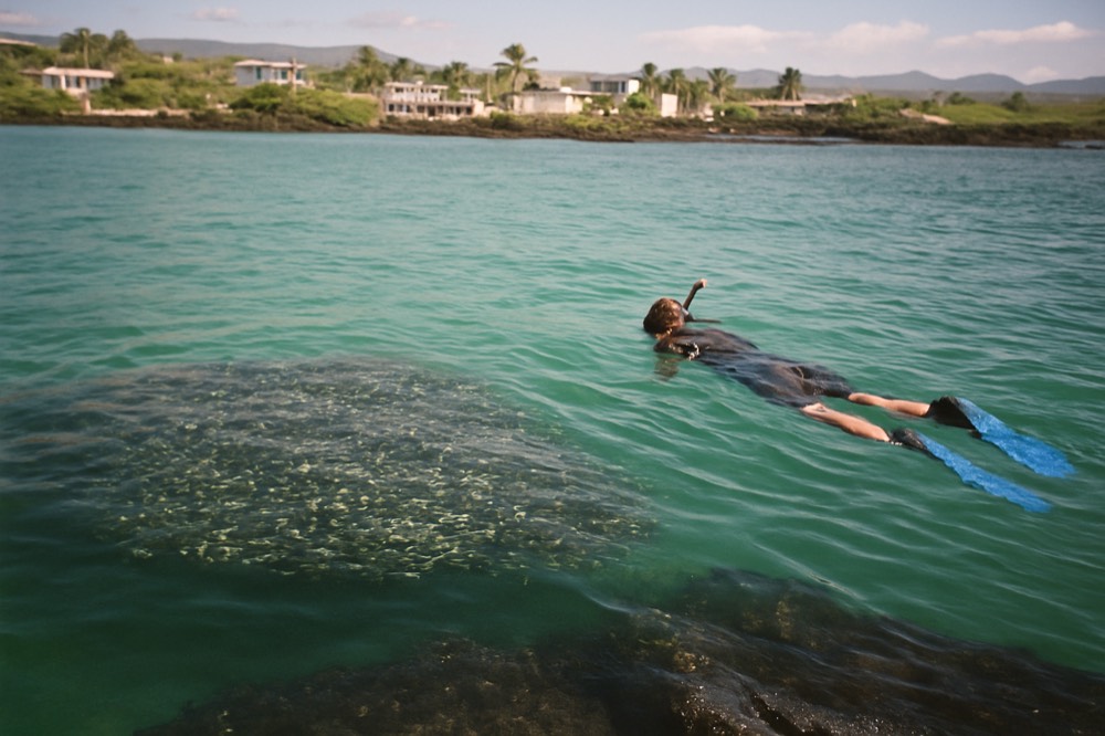 A snorkeller floating above a school of fish in clear turquoise water near a volcanic shoreline