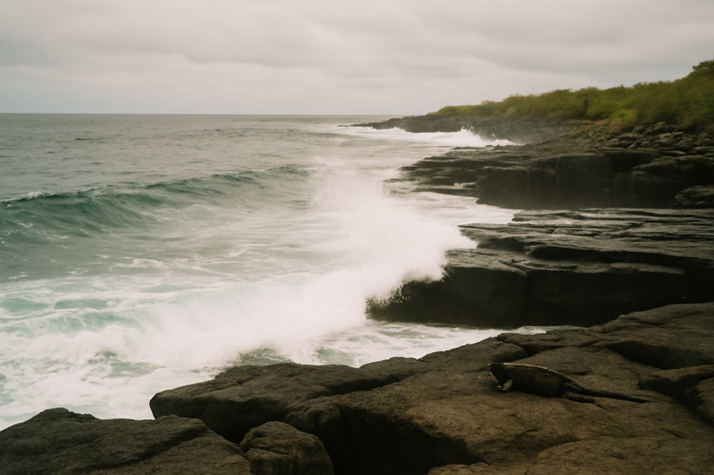 Open ocean swells rolling toward a volcanic Galapagos shoreline under a grey sky