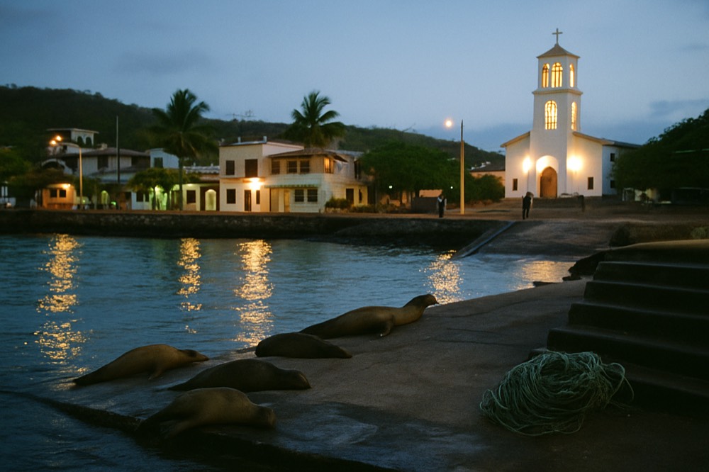 Evening view over Quito historic centre with lit church towers and hills behind