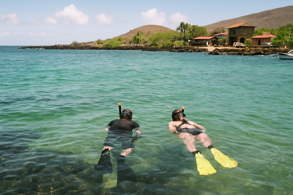 Snorkellers floating above clear shallow water near a rocky reef
