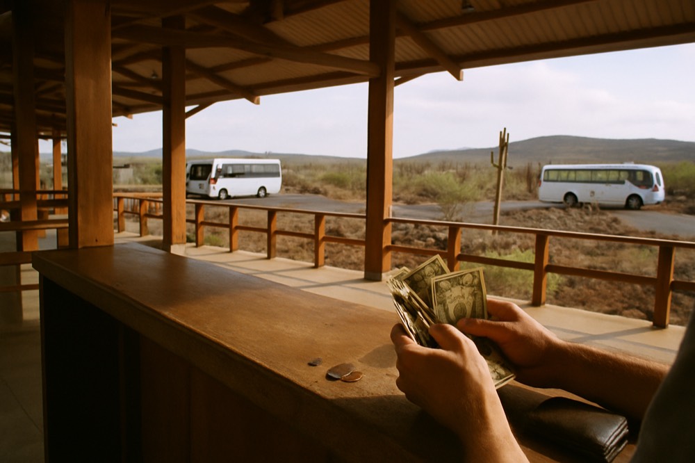 A traveller counting US dollar bills at an airport payment counter