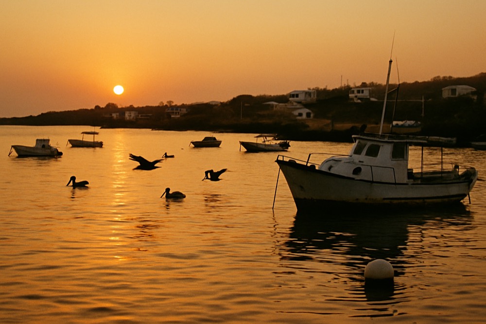 Sunset over a calm bay with anchored small boats and pelicans on the water