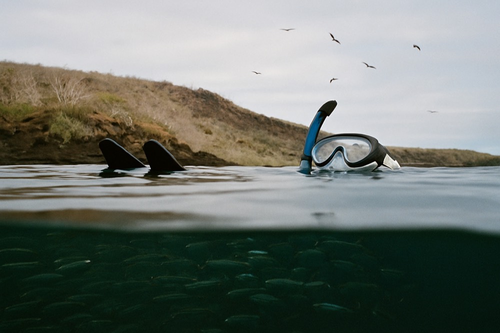 Snorkellers floating above a school of fish in clear Galapagos water