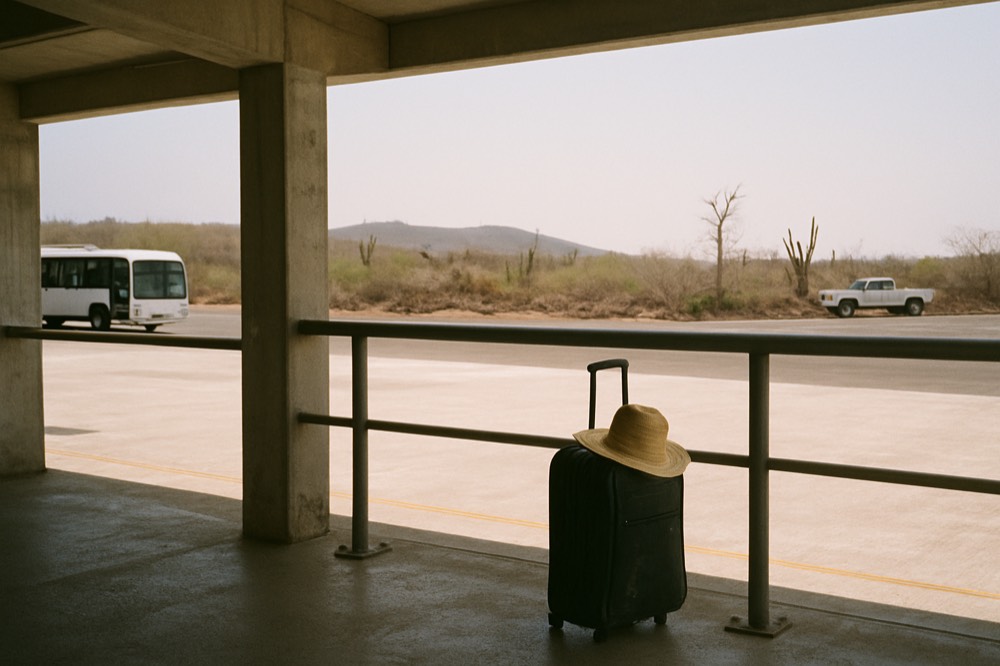 Airport check-in hall with queues at counters and departure boards